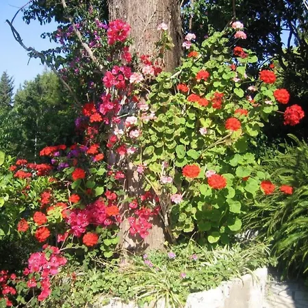 Nina- Double With Garden View * Млини